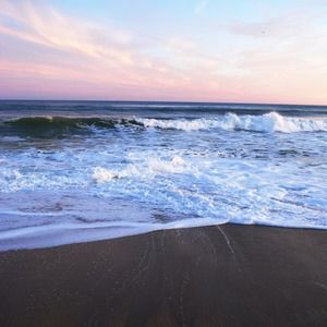 Meet your Posher, Lovey